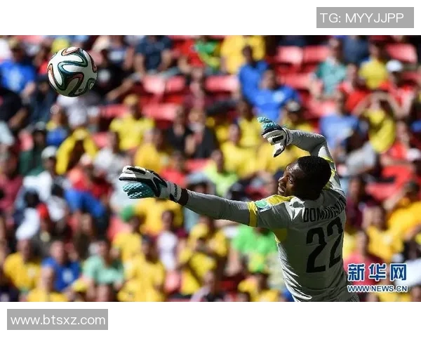 厄瓜多尔足球明星风采展示与精彩瞬间回顾