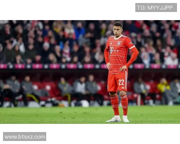 坎塞洛在足球场上的辉煌历程与未来发展潜力分析